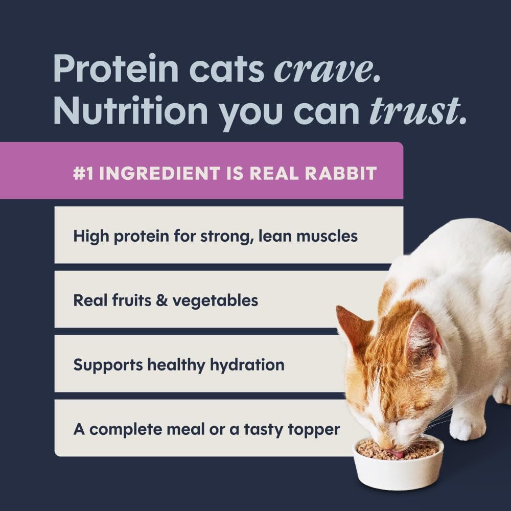 Grain Free Wet Cat Food Pate, Original Recipe Natural Canned Cat Food